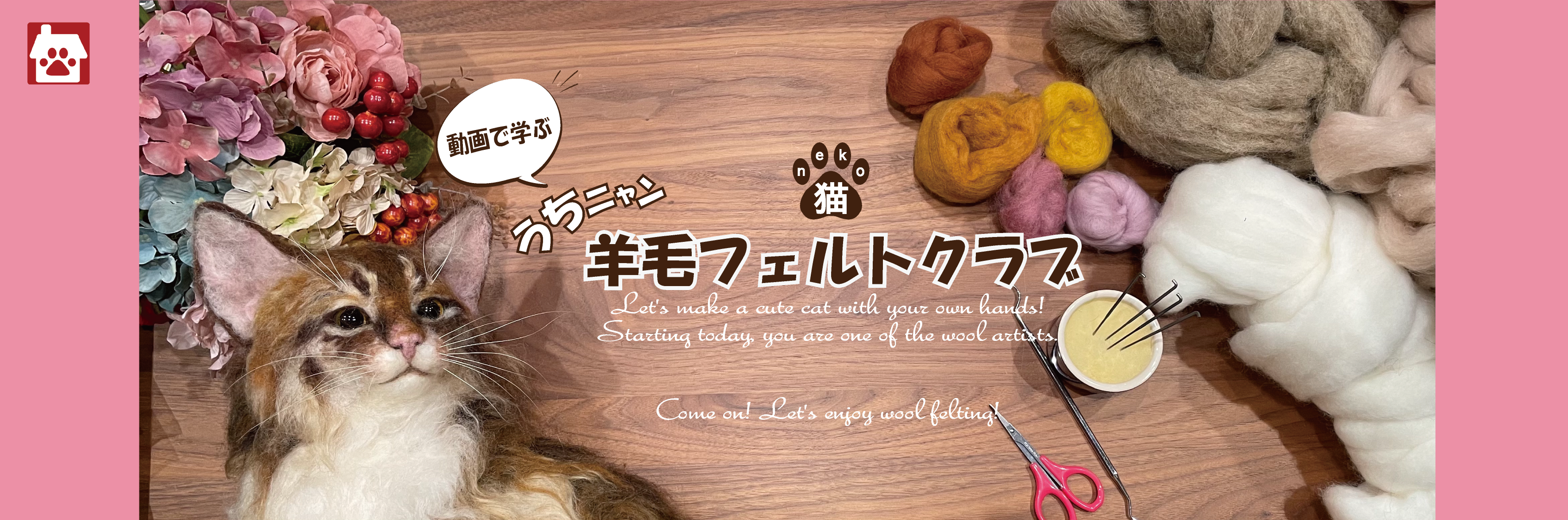 ウチにゃんサロン